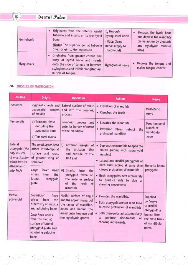 Dental Pulse_ V1_compressed.pdf