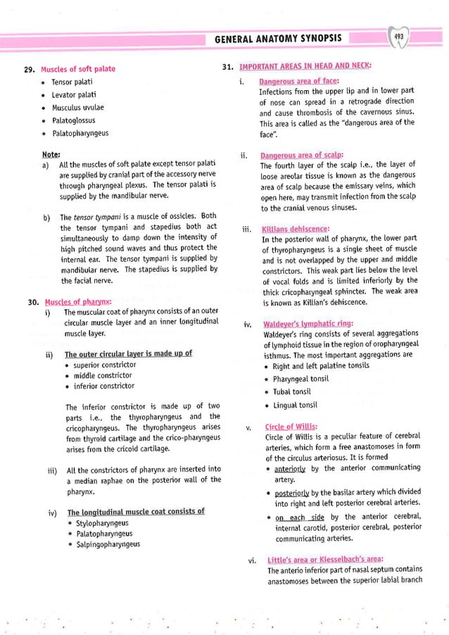 Dental Pulse_ V1_compressed.pdf