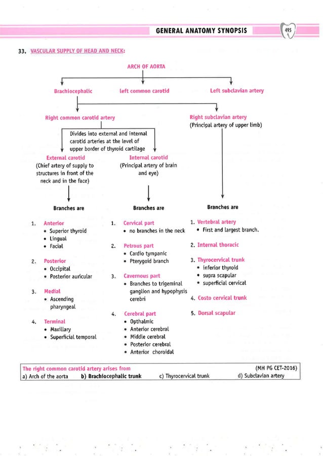 Dental Pulse_ V1_compressed.pdf