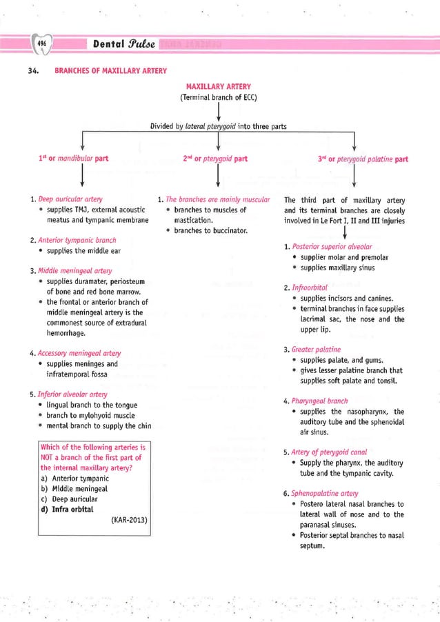Dental Pulse_ V1_compressed.pdf