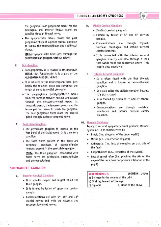 Dental Pulse_ V1_compressed.pdf