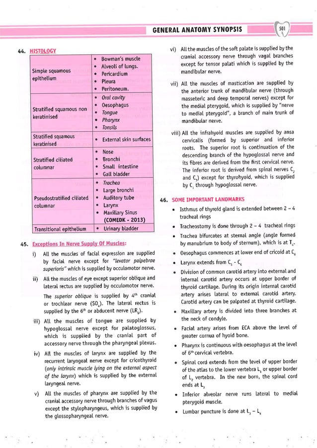 Dental Pulse_ V1_compressed.pdf