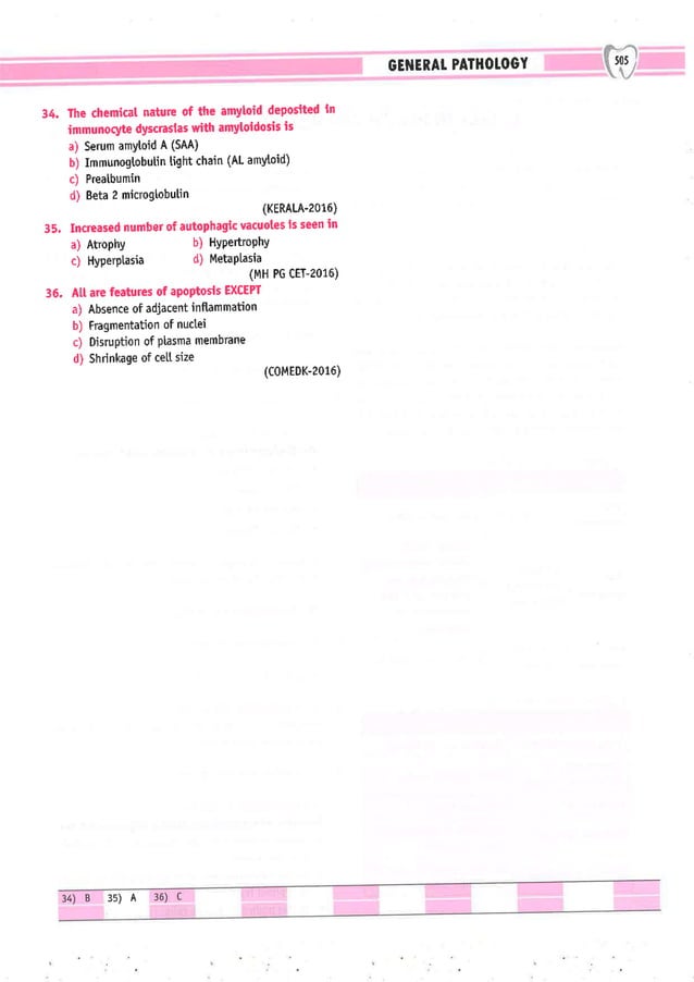 Dental Pulse_ V1_compressed.pdf