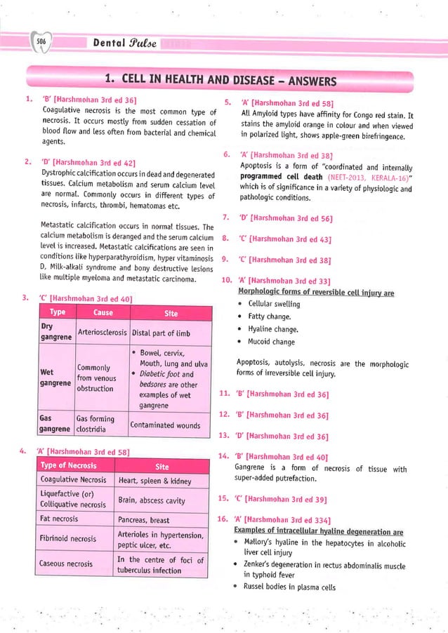 Dental Pulse_ V1_compressed.pdf