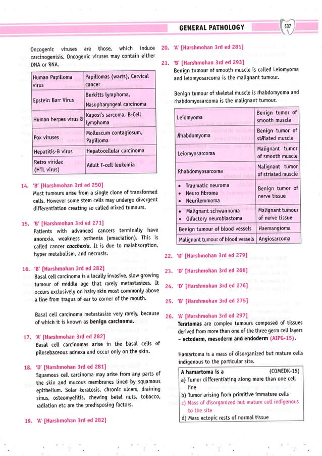 Dental Pulse_ V1_compressed.pdf