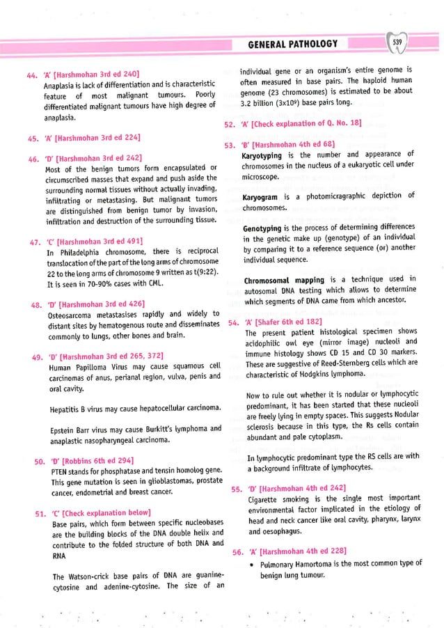 Dental Pulse_ V1_compressed.pdf