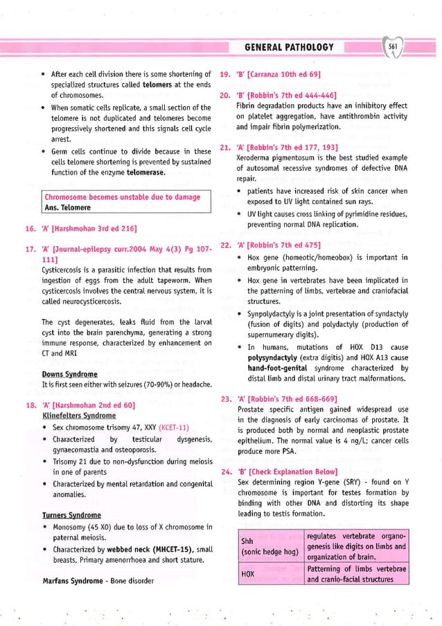 Dental Pulse_ V1_compressed.pdf