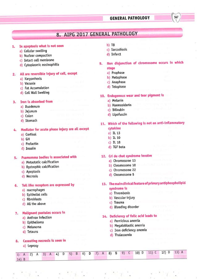 Dental Pulse_ V1_compressed.pdf
