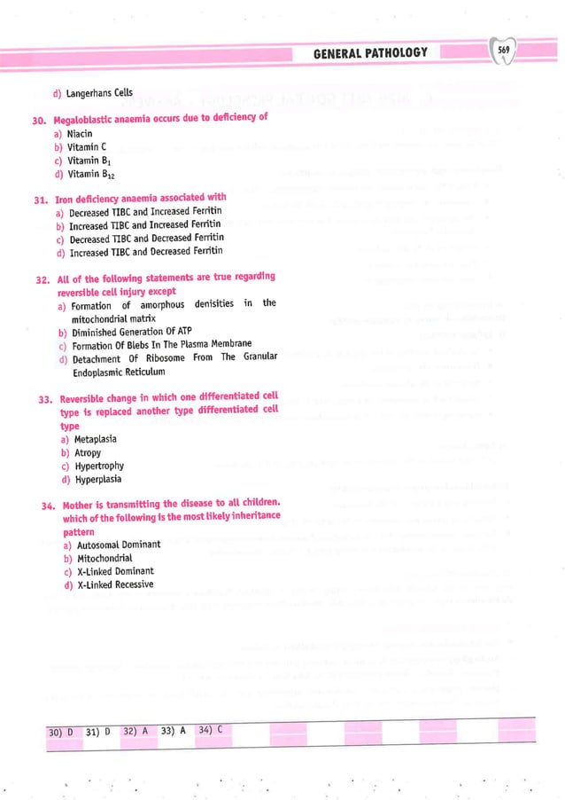 Dental Pulse_ V1_compressed.pdf