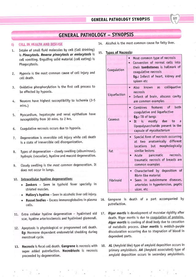Dental Pulse_ V1_compressed.pdf