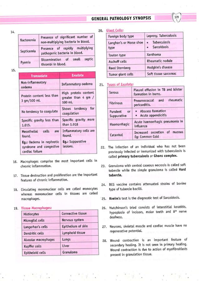 Dental Pulse_ V1_compressed.pdf