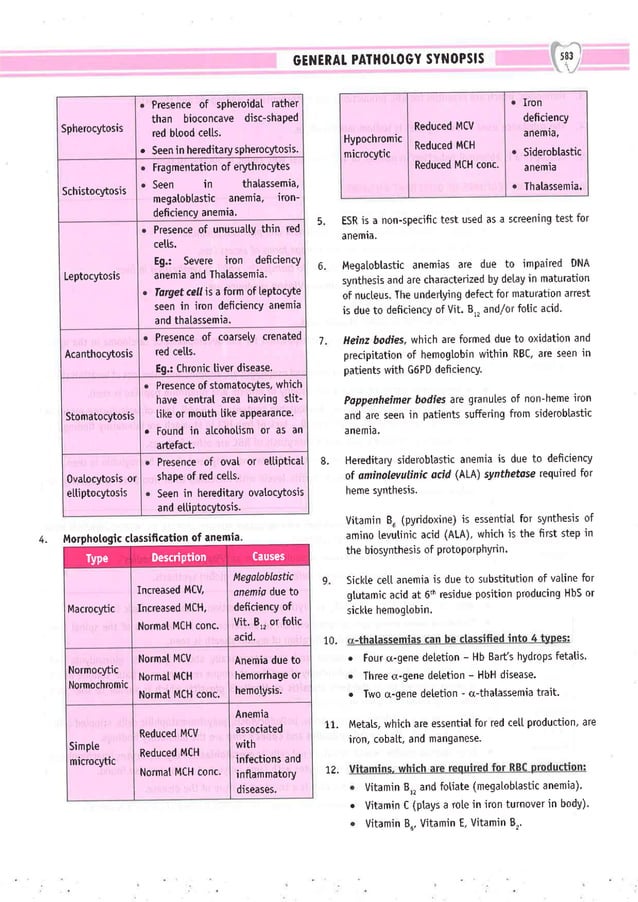 Dental Pulse_ V1_compressed.pdf