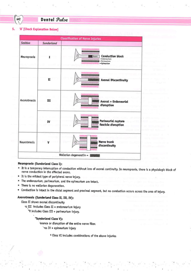 Dental Pulse_ V1_compressed.pdf