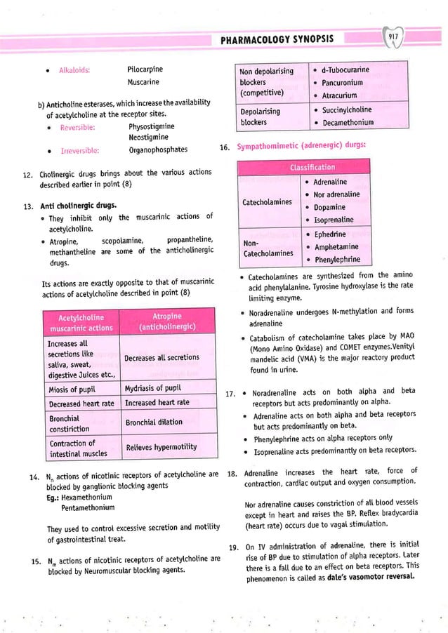 Dental Pulse_ V1_compressed.pdf