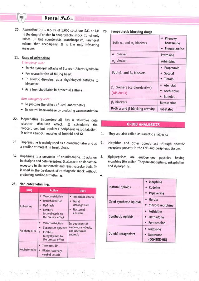 Dental Pulse_ V1_compressed.pdf