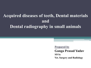Acquired diseases of teeth, Dental materials
and
Dental radiography in small animals
Prepared by
Ganga Prasad Yadav
MVSc
Vet. Surgery and Radiology
 