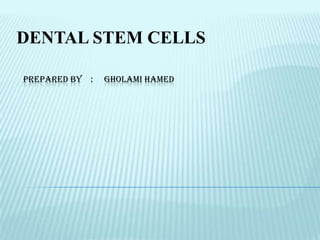 DENTAL STEM CELLS

PREPARED BY :   GHOLAMI HAMED
 