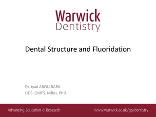 Dental Structure and Fluoridation



Dr. Iyad ABOU RABII
DDS. OMFS. MRes. PhD
 