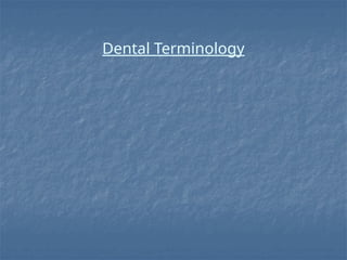 dental terminology and other terminology.pptx