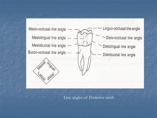 dental terminology and other terminology.pptx
