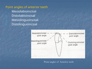 dental terminology and other terminology.pptx