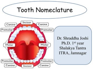 Tooth Nomeclature
Dr. Shraddha Joshi
Ph.D. 1st year
Shalakya Tantra
ITRA, Jamnagar
 