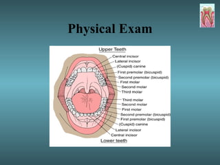 Physical Exam