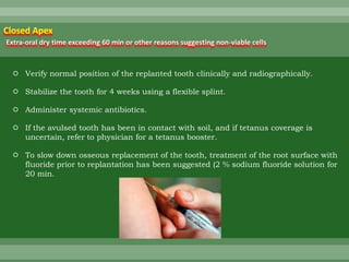  Verify normal position of the replanted tooth clinically and radiographically.
 Stabilize the tooth for 4 weeks using a flexible splint.
 Administer systemic antibiotics.
 If the avulsed tooth has been in contact with soil, and if tetanus coverage is
uncertain, refer to physician for a tetanus booster.
 To slow down osseous replacement of the tooth, treatment of the root surface with
fluoride prior to replantation has been suggested (2 % sodium fluoride solution for
20 min.
Closed Apex
Extra-oral dry time exceeding 60 min or other reasons suggesting non-viable cells
 