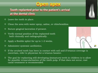  Leave the tooth in place.
 Clean the area with water spray, saline, or chlorhexidine.
 Suture gingival laceration if present.
 Verify normal position of the replanted tooth
both clinically and radiographically.
 Apply a flexible splint for up to 1-2 weeks.
 Administer systemic antibiotics.
 If the avulsed tooth has been in contact with soil and if tetanus coverage is
uncertain, refer to physician for a tetanus booster.
 The goal for replanting still-developing (immature) teeth in children is to allow
for possible revascularization of the tooth pulp. If that does not occur, root
canal treatment is recommended.
Tooth replanted prior to the patient's arrival
at the dental clinic
Open apex
 