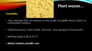 Candelilla
• Wax derived from the leaves of the small Candelilla shrub native to
northeastern Mexico
• Yellowish-brown, hard, brittle, aromatic, and opaque to translucent
• Melting range is 68 to 75 °C
• Mainly hardens paraffin wax
Plant waxes…
 