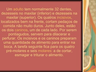 Dentes | PPT