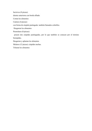 Incisivos (8 piezas):
dientes anteriores con borde afilado.
Cortan los alimentos
Caninos (4 piezas):
con forma de cúspide puntiaguda. también llamados colmillos.
Desgarran los alimentos
Premolares (8 piezas):
 poseen dos cúspides puntiagudas, por lo que también se conocen por el término
bicúspides.
Desgarran y aplastan los alimentos
Molares (12 piezas): cúspides anchas.
Trituran los alimentos
 