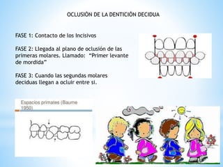 DENTICION NORMAL PATOLOGIAS DE CAV ORAL.pptx
