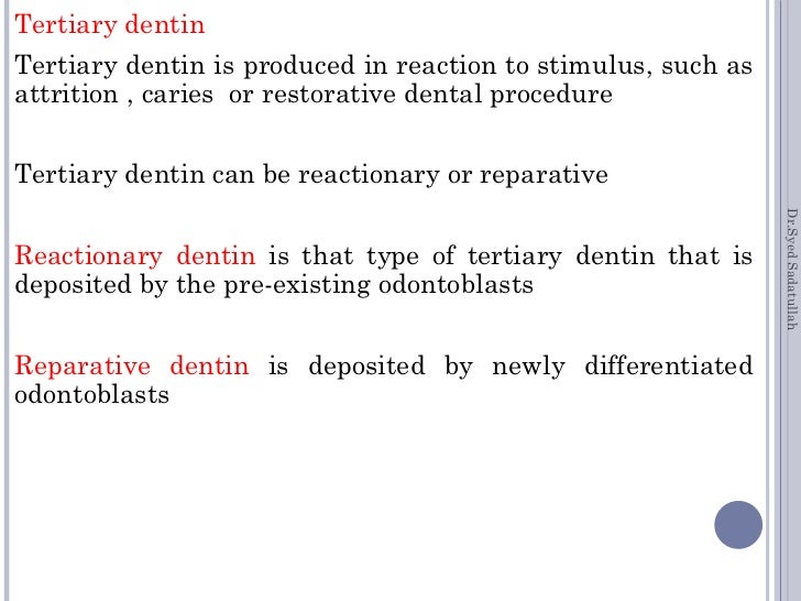 Dentin