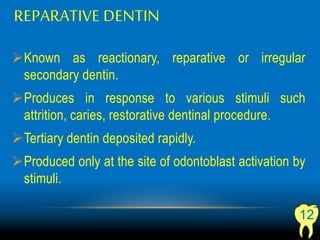 Dentin.ppt2