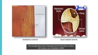 Dentin | PPTX