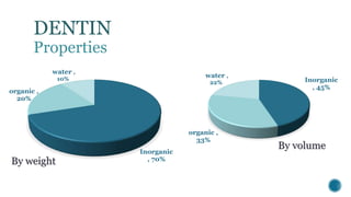 Dentin | PPTX