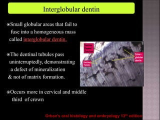 Dentin | PPTX