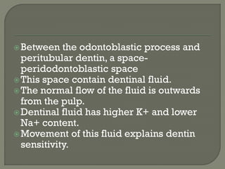 Between the odontoblastic process and
peritubular dentin, a space-
peridodontoblastic space
This space contain dentinal fluid.
The normal flow of the fluid is outwards
from the pulp.
Dentinal fluid has higher K+ and lower
Na+ content.
Movement of this fluid explains dentin
sensitivity.
 