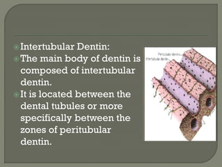 Intertubular Dentin:
The main body of dentin is
composed of intertubular
dentin.
It is located between the
dental tubules or more
specifically between the
zones of peritubular
dentin.
 