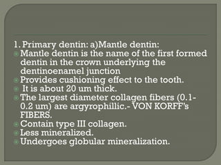 1. Primary dentin: a)Mantle dentin:
 Mantle dentin is the name of the first formed
dentin in the crown underlying the
dentinoenamel junction
 Provides cushioning effect to the tooth.
 It is about 20 um thick.
 The largest diameter collagen fibers (0.1-
0.2 um) are argyrophillic.- VON KORFF’s
FIBERS.
 Contain type III collagen.
 Less mineralized.
 Undergoes globular mineralization.
 