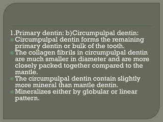 1.Primary dentin: b)Circumpulpal dentin:
 Circumpulpal dentin forms the remaining
primary dentin or bulk of the tooth.
 The collagen fibrils in circumpulpal dentin
are much smaller in diameter and are more
closely packed together compared to the
mantle.
 The circumpulpal dentin contain slightly
more mineral than mantle dentin.
 Mineralizes either by globular or linear
pattern.
 