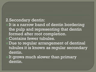 2.Secondary dentin:
It is a narrow band of dentin bordering
the pulp and representing that dentin
formed after root completion.
Contains fewer tubules.
Due to regular arrangement of dentinal
tubules it is known as regular secondary
dentin.
It grows much slower than primary
dentin.
 