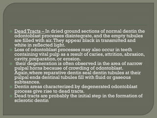  Dead Tracts – In dried ground sections of normal dentin the
odontoblast processes disintegrate,and the empty tubules
are filled with air.They appear black in transmitted and
white in reflected light.
 Loss of odontoblast processes may also occur in teeth
containing vital pulp as a result of caries,attrition,abrasion,
cavity,preparation,or erosion.
 their degeneration is often observed in the area of narrow
pulpal horns because of crowding of odontoblast.
Again,where reparative dentin seal dentin tubules at their
pulpal ends dentinal tubules fill with fluid or gaseous
subtsances.
 Dentin areas characterized by degenerated odontoblast
process give rise to dead tracts.
 Dead tracts are probably the initial step in the formation of
sclerotic dentin
 