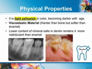 Dentin | PDF