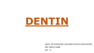 DENTIN
DEPT. OF PEDIATRIC AND PREVENTIVE DENTISTRY
DR. SHEFAAMIR
(JR – 1)
 