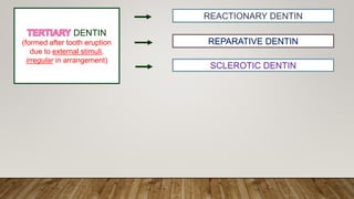 DENTIN
(formed after tooth eruption
due to external stimuli,
irregular in arrangement)
REPARATIVE DENTIN
SCLEROTIC DENTIN
REACTIONARY DENTIN
 