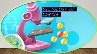 HISTOLOGY OF
DENTIN
 