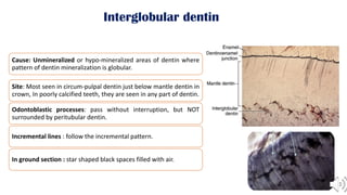 dentin full chapter lecture' oral histology.pdf