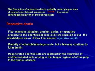 Comprehensive Overview of Dentin: Structure, Composition, and Function ...